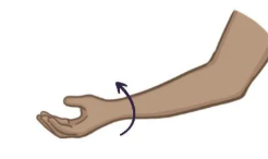 term image