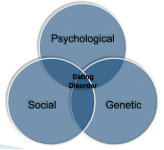 <ul><li><p><strong><u>Founder(s):</u></strong> N/A</p></li><li><p><strong><u>Beliefs/Contributions:</u></strong> <em>Current Trend</em></p><ul><li><p>Borrows from multiple perspectives</p></li><li><p>Behaviors and thoughts influenced by:</p><ul><li><p><strong>Biological Factors</strong></p></li><li><p><strong>Psychological Factors</strong> (thought processes, habits of mind)</p></li><li><p><strong>Socio-Cultural Factors</strong> (society we live in, culture we live in, friend groups)</p></li></ul></li></ul></li><li><p><strong><u>Example Demonstrating School’s Beliefs:</u></strong> </p><ul><li><p><strong>Eating Disorder:</strong></p><ul><li><p><u>Biological Factors</u></p><ul><li><p>Diseases (autoimmune deficiency, thyroid issues) that you are genetically prone to and could affect your weight</p></li><li><p>Weight</p></li><li><p>Hormones (can change appearance, and one’s perception of this could make them more prone to developing an eating disorder)</p><ul><li><p>Neurotransmitters: Biological predisposition towards lower levels of serotonin (--> more stress)</p></li></ul></li><li><p>Appetite </p></li><li><p>Food allergies might affect your relationship with food (ex> Celiac Disease)</p></li><li><p>History of anxiety (inhibits appetite, struggling with body image) or depression in the family</p></li></ul></li><li><p><u>Socio-Cultural Factors</u></p><ul><li><p>Friends making fun of someone</p></li><li><p>Seeing other people on social media (unreasonable body standard online)</p></li><li><p>Family and their eating habits</p></li><li><p>Cultural customs and food norms </p></li></ul></li><li><p><u>Psychological Factors</u></p><ul><li><p>Being unhappy with one's appearance / lack of self-confidence</p><ul><li><p>In comparison to yourself with others (“I am _____ compared to my siblings”)</p></li></ul></li><li><p>Being self-conscious of what you eat</p></li><li><p>Lack of sense of control</p></li><li><p>Anxiety, depression, & OCD</p></li><li><p>Trauma</p></li><li><p>Societal expectations</p></li></ul></li></ul></li></ul></li></ul><p></p>