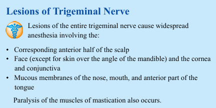 <p>Lesions of Trigeminal Nerve Lesions of the entire trigeminal nerve cause widespread anesthesia involving the: • Corresponding anterior half of the scalp • Face (except for skin over the angle of the mandible) and the cornea and conjunctiva • Mucous membranes of the nose, mouth, and anterior part of the tongue Paralysis of the muscles of mastication also occurs.</p>