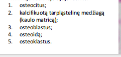 <p>kaulo formavymasis iš mezenchimos (apatinio žandikaulio užuomazgos skersinis pjūvis)</p>
