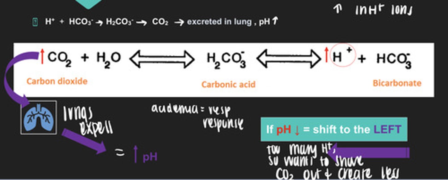 <p>- the equation shifts to the left!</p><p>so you have too much H+ and you want to shove out the carbon dioxide and create less... sooo you use your lungs to expel the carbon dioxide out which increases the pH</p>