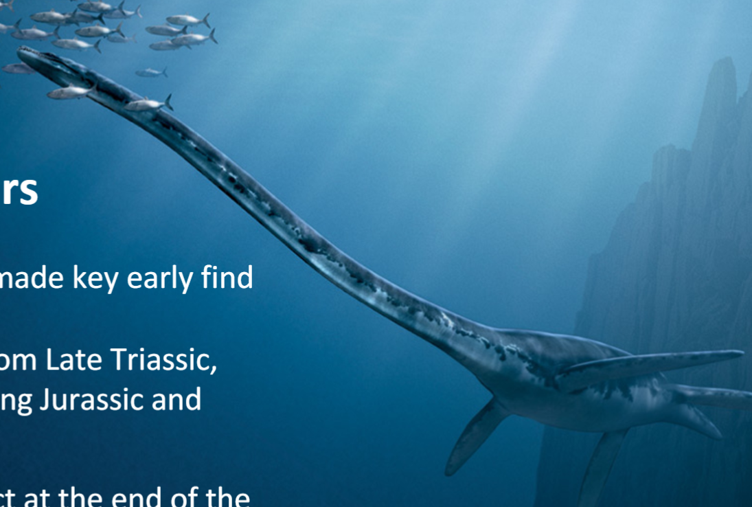 <p>First known from Late Triassic, dominant during Jurassic and Cretaceous</p><p>Become extinct at the end of the Cretaceous (mass extinction) </p><p>Sea turtles, best modern reptilian analog</p>