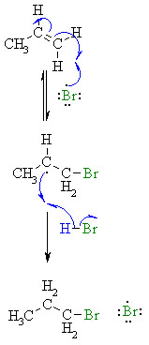 <p>Radical Halogenation</p><p>Alkene to Alkane</p><p>Anti-Markovnikov addition of a Br</p>