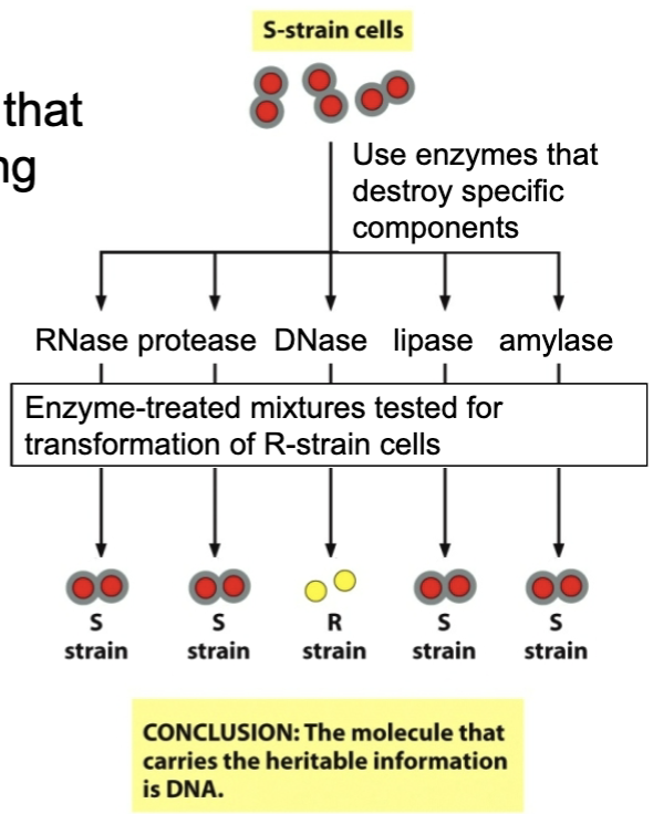 <ul><li><p>a mixture of things has an effect on something</p></li><li><p>delete components one by one, see which deletion cause the effect to disappear</p></li></ul><p></p>