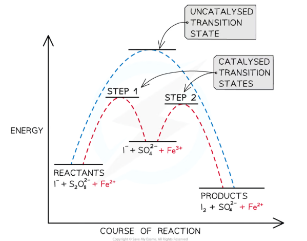 <p><strong>Fe<sup>2+</sup> ions catalyse the reaction between iodide ions, I<sup>-</sup>, and peroxodisulfate ions, S<sub>2</sub>O<sub>8</sub><sup>2- </sup></strong>:</p><ul><li><p>S<sub>2</sub>O<sub>8</sub><sup>2-</sup> + 2I<sup>-</sup> → I<sub>2</sub> + 2SO<sub>4</sub><sup>2-</sup></p></li><li><p>This reaction is <strong>slow </strong>because the ions are <strong>oppositely charged</strong>, so make <strong>few successful collisions</strong>- the addition of<strong> Fe<sup>2+</sup> </strong>ions provides an <strong>alternative reaction pathway </strong>with a <strong>lower activation energy</strong>, increasing the rate:</p></li><li><p>S<sub>2</sub>O<sub>8</sub><sup>2-</sup> + 2Fe<sup>2+</sup> → 2SO<sub>4</sub><sup>2- </sup>+ 2Fe<sup>3+</sup> </p></li><li><p>2I<sup>-</sup> + 2Fe<sup>3+</sup> → I<sub>2 </sub>+ 2Fe<sup>2+</sup> </p></li></ul><p></p>