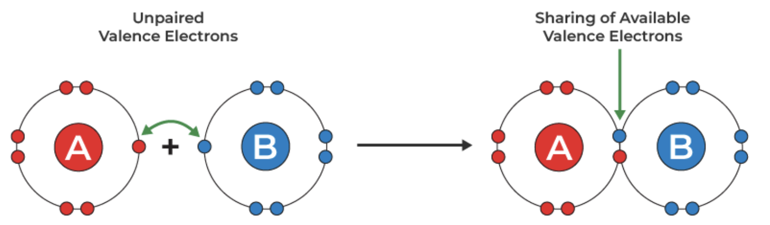 <p>Bond formed by the sharing of electron pairs</p>