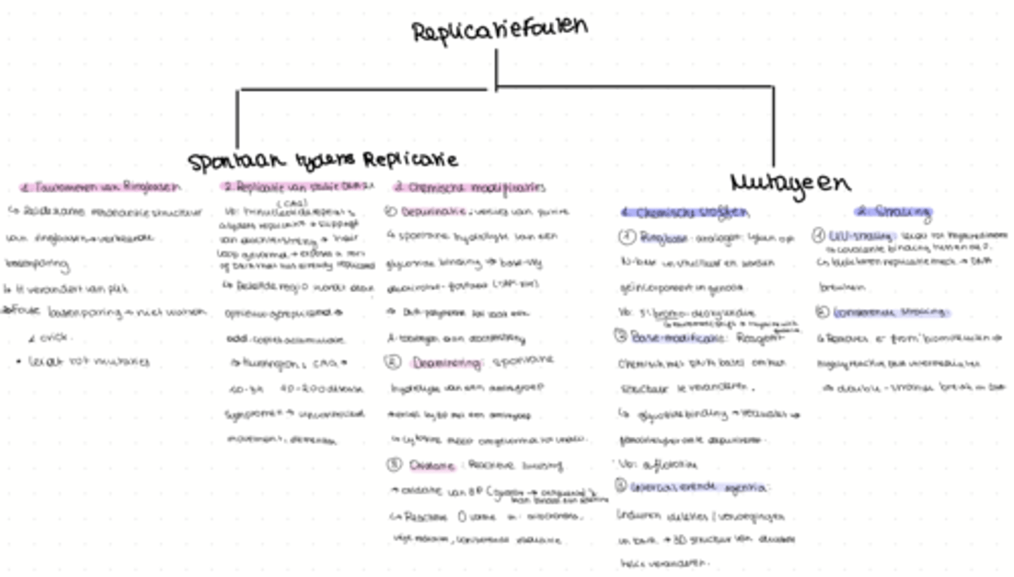 <p>Door endogene factoren </p><p>willekeurig omdat enzymen soms fouten maken</p><p>- DNA polymerase activiteit, fouten na proeflezing: ca. 1/10^7</p><p>- tautomeren van ringbasen -> verkeerde basenparing tijdens replicatie</p><p>- replicatie van een stukje DNA tweemaal (‘strand slippage’) in repetitief DNA</p><p>- spontane chemische modificaties aan basen zoals depurineringen, deamineringen</p><p>-spontane oxidatie van basen door ROS</p><p>door externe factoren</p><p>door milieufactoren of mutagene factoren. Bijvoorbeeld stralingen (UV- of X-stralingen) of chemische stoffen (ringbase-analogen, ringbase-modificerende agentia, intercalerende agentia)F</p>