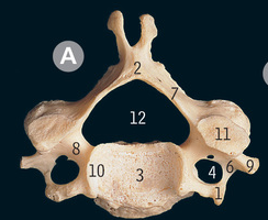 <p>What is 4</p>