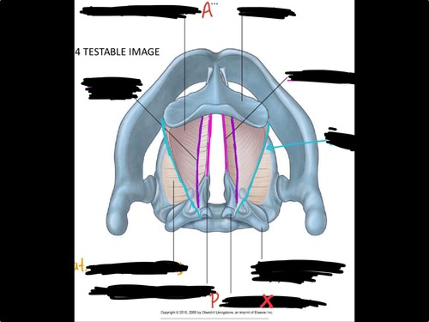 knowt flashcard image