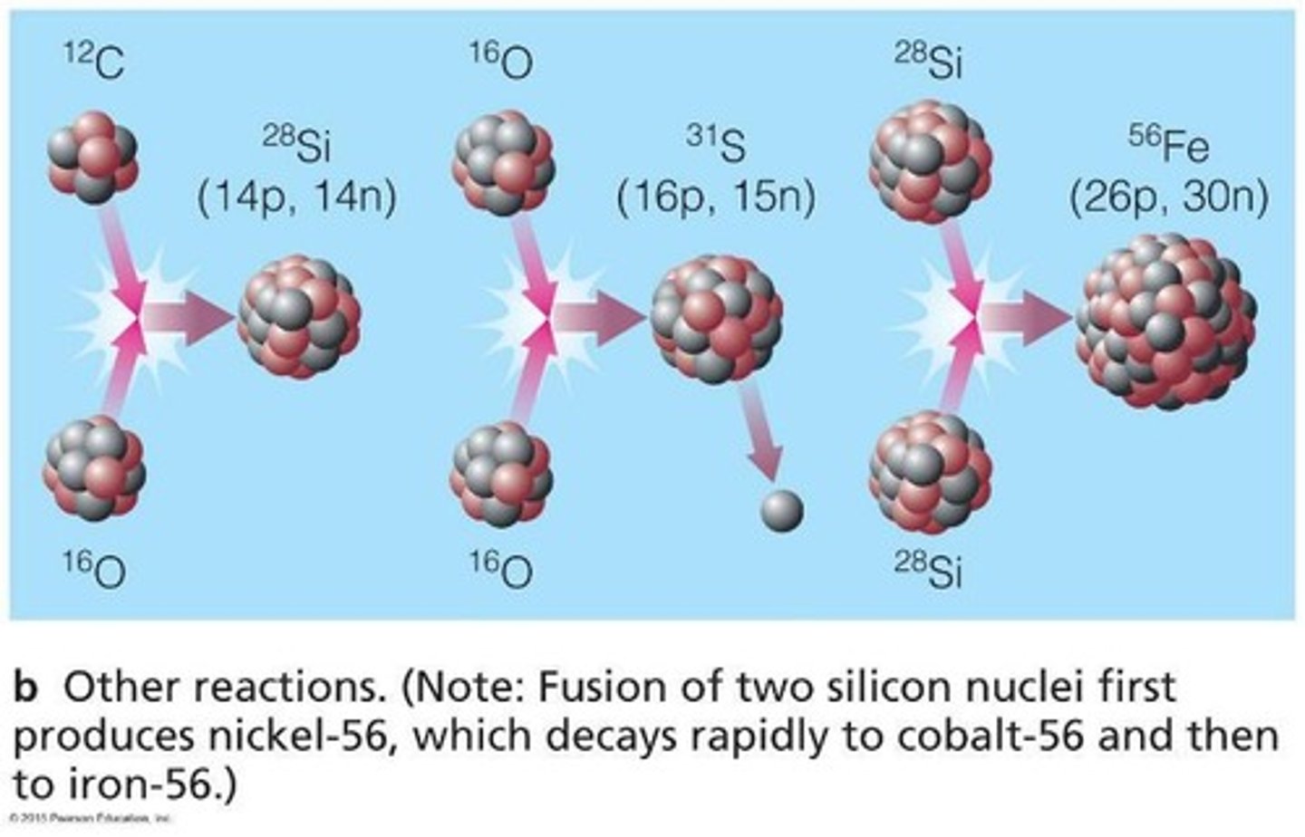 <p>It collapses under gravity, leading to carbon and oxygen fusion throughout the star, resulting in a type Ia supernova explosion.</p>
