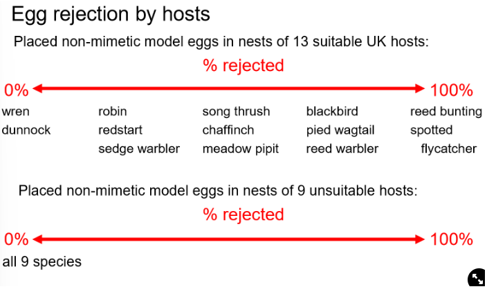 <ul><li><p>m→ placed eggs in 13 nests of suitable host species and in 9 nests of unsuitable host species</p></li><li><p><span>r→</span></p><ul><li><p><span>there are variable egg rejection rates of non-mimetic eggs across the suitable species</span></p></li><li><p><span>all 9 species of unsuitable hosts did not reject the non-mimetic eggs</span></p></li></ul><p><strong>→ egg rejection has only evolved in parasitised species</strong></p></li></ul>