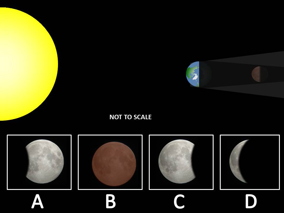 <p><span style="background-color: transparent;"><span>Which letter best represents the view from Earth?</span></span></p>