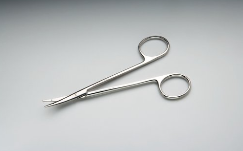 <p>Little Plastic Surgery Scissors </p>