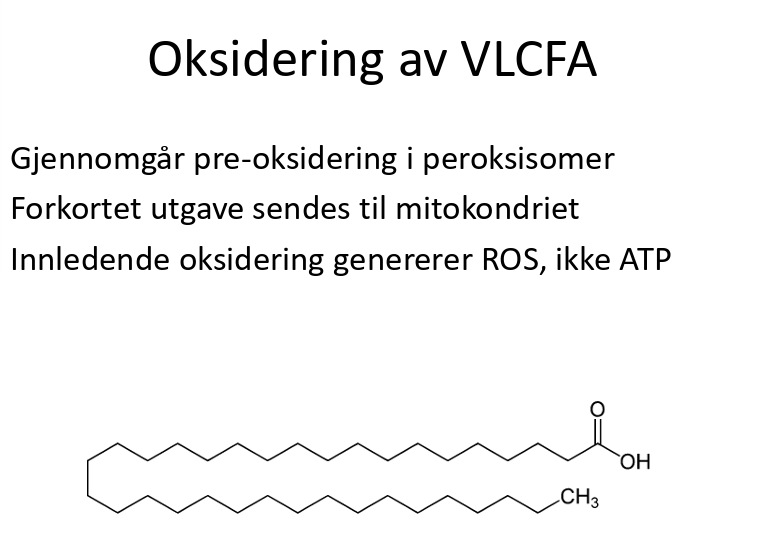<p>den her sier meg ikke så mye as</p>