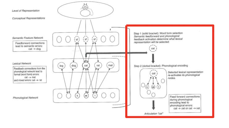 <p>Phoneme assembly (phonological output)</p>