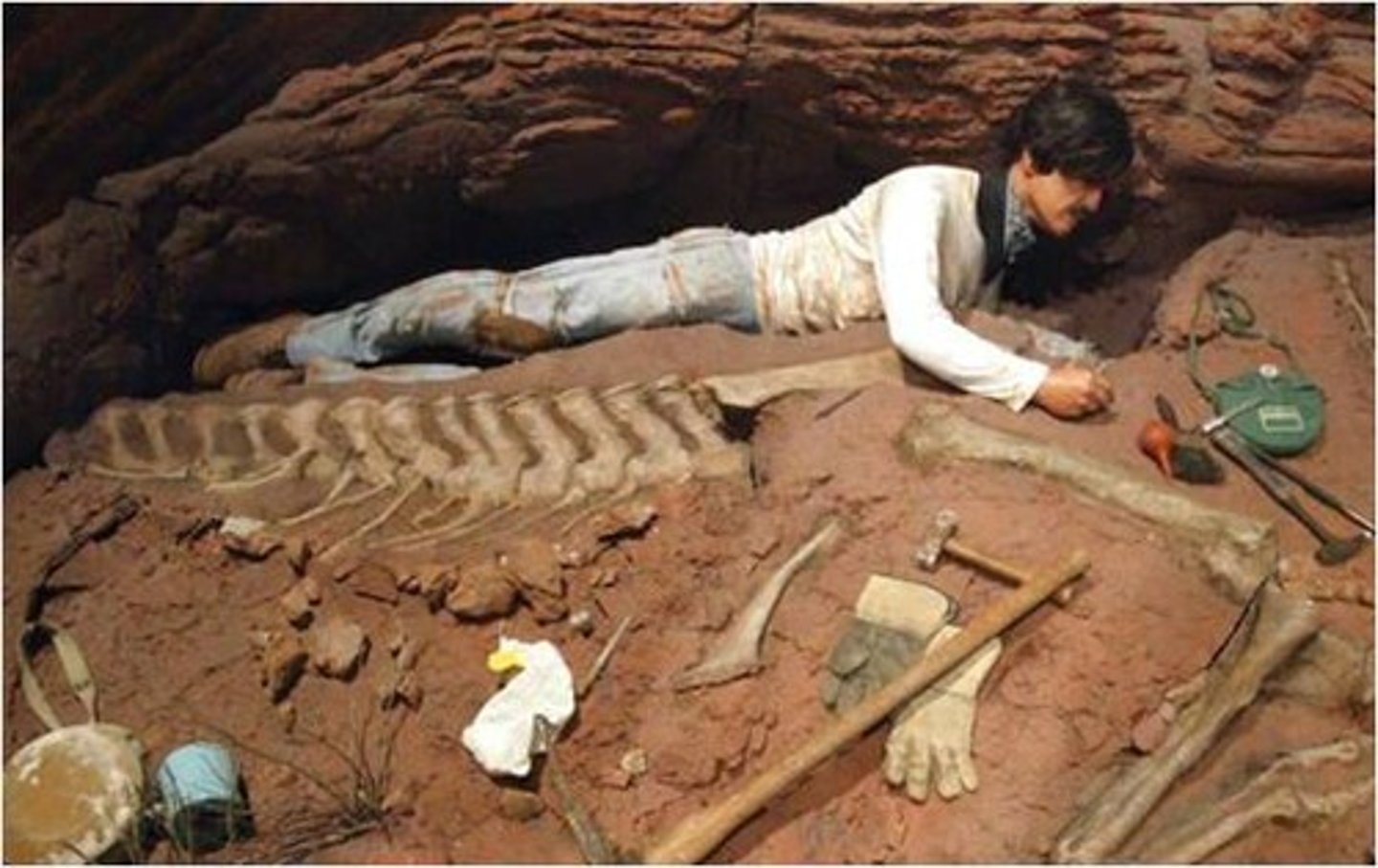 <p>the study of fossils and the fossil record<br><br>estudio de los fósiles y los registros fósiles</p>