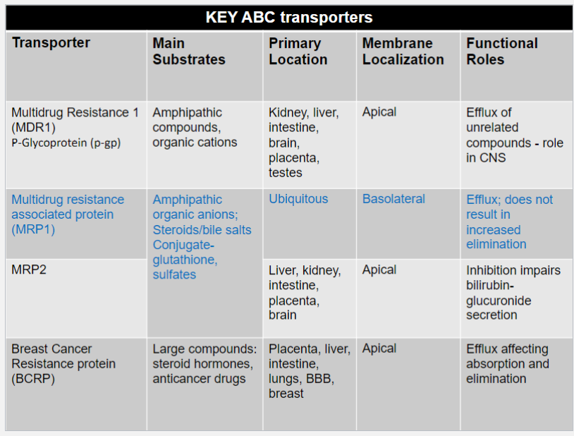 <ul><li><p>substrates undergo primary active transport </p><ul><li><p>hydrolysis of bound ATP powers unidirectional transport of substrates against their conc grad (usually out of cells)</p></li></ul></li><li><p>important for limiting cellular exposure to drugs and toxins</p><ul><li><p>beneficial when preventing unwanted exposure to environment toxins</p></li><li><p>can limit therapeutic efficacy of cytotoxic drugs such as chemotherapeutics and antibiotics</p></li></ul></li></ul>