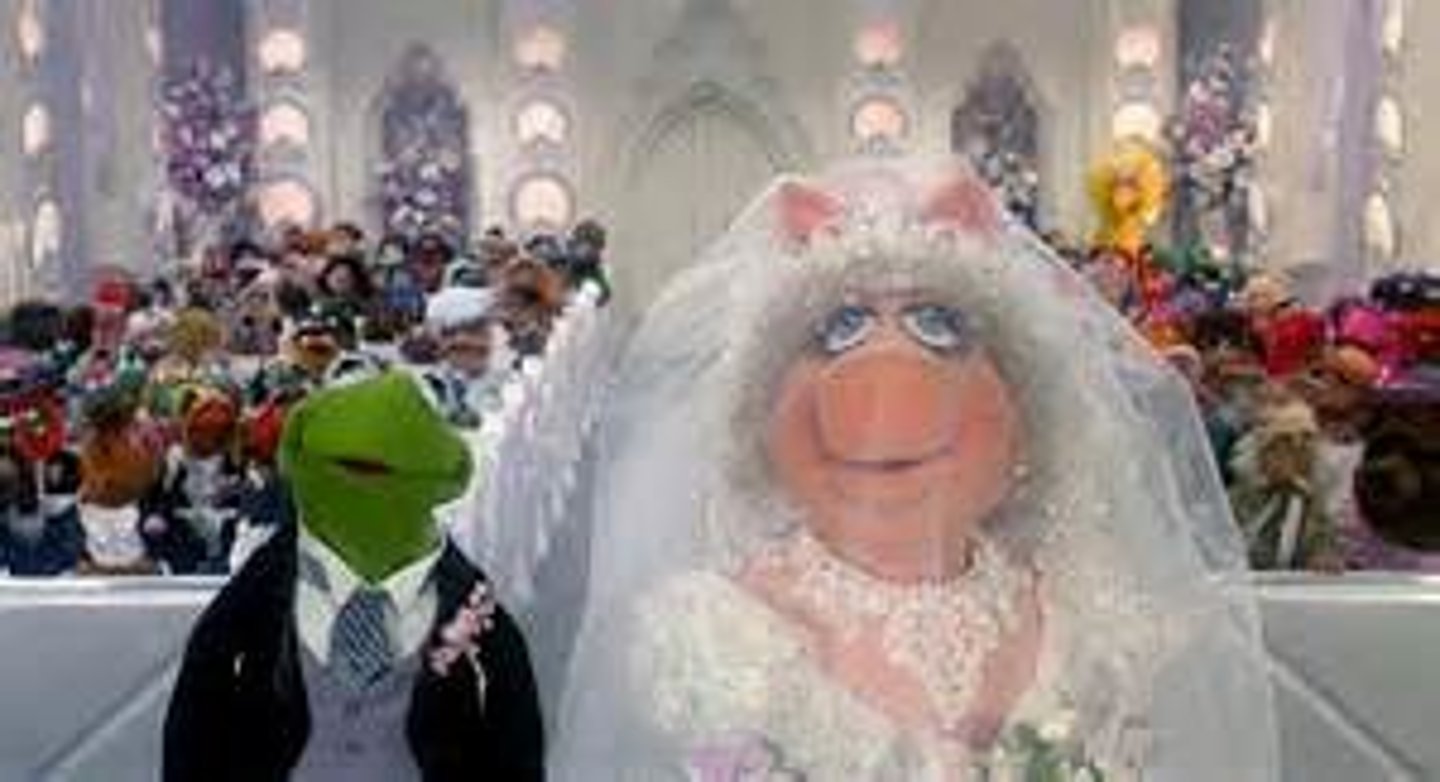 <p>la boda</p>