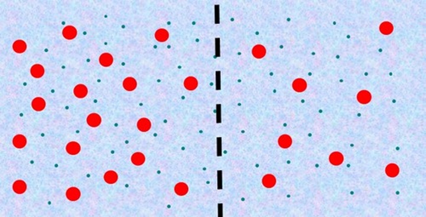 <p>Diffusion of water through a selectively permeable membrane</p>