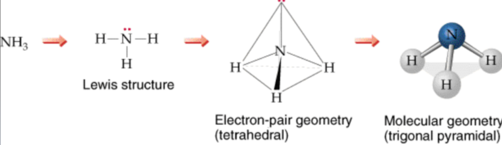 predicting molecular geometrics