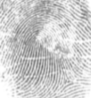 <p>left hand</p>