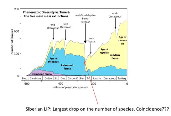 <p>there is an association between volcano eruptions and mass extinctions. </p>