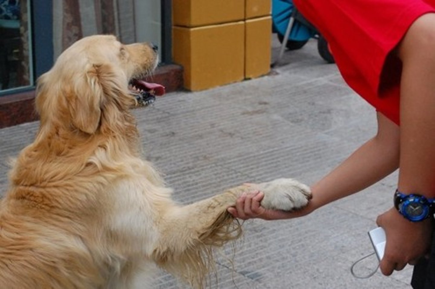 <p>friendly; nice; kind</p>