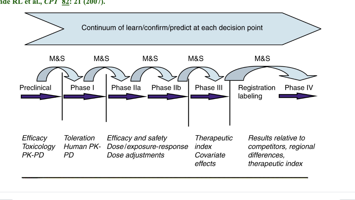 <ul><li><p>M&amp;S = modeling and simulation → performed before each decision point to quantitatively assess risk in moving forward</p></li><li><p>preclinical</p><ul><li><p>efficacy</p></li><li><p>toxicology</p></li><li><p>PK-PD</p></li></ul></li><li><p>phase I</p><ul><li><p>toleration</p></li><li><p>human PK-PD</p></li></ul></li><li><p>phase IIa/IIb</p><ul><li><p>efficacy and safety</p></li><li><p>dose/exposure-response</p></li><li><p>dose adjustments</p></li></ul></li><li><p>phase III</p><ul><li><p>therapeutic index</p></li><li><p>covariate effects</p></li></ul></li><li><p>registration labeling/phase IV</p><ul><li><p>results relative to competitors</p></li><li><p>regional differences</p></li><li><p>therapeutic index</p></li></ul></li></ul><p></p>