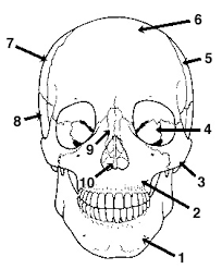 <p>#10</p>