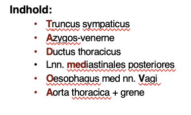 <p><span style="font-family: Calibri"><strong>M</strong>ediastinum</span><span>&nbsp; &nbsp;                </span><span style="font-family: Calibri"><strong>M</strong>athilde</span></p><p><span style="font-family: Calibri"><strong>P</strong>osterior:</span><span>&nbsp;                        </span><span style="font-family: Calibri"><strong>P</strong>lejer<br></span></p><p><span style="font-family: Calibri"><strong>T</strong>runcus sympaticus</span><span>&nbsp;          </span><span style="font-family: Calibri"><strong>T</strong>it</span></p><p><span style="font-family: Calibri"><strong>A</strong>zogos-venerne</span><span>&nbsp;                </span><span style="font-family: Calibri"><strong>A</strong>t</span></p><p><span style="font-family: Calibri"><strong>D</strong>uctus thorcacicus</span><span>&nbsp;            </span><span style="font-family: Calibri"><strong>D</strong>anse (løber gennem)</span></p><p><span style="font-family: Calibri">Lnn. <strong>Med</strong>iastinales post.</span><span>&nbsp;    </span><span style="font-family: Calibri"><strong>Med</strong><br><strong>O</strong>esophagus </span><span>&nbsp;                     </span><span style="font-family: Calibri"><strong>O</strong>s</span></p><p><span style="font-family: Calibri"><strong>A</strong>orta </span><span>&nbsp; </span><span style="font-family: Calibri">thoracica</span><span>&nbsp;               </span><span style="font-family: Calibri"><strong>A</strong>lle</span></p>