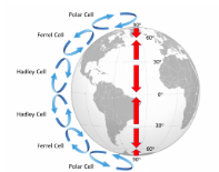 <p><span>Which of the following causes the air to rise high into the atmosphere in the areas labeled A, B, and C on the diagram shown below? (the circles</span></p><ol><li><p><span>El nino circulation patterns</span></p></li><li><p><span>Warm moist air that is less dense than the surrounding air</span></p></li><li><p><span>Rotation of the earth shifting the direction of the air upward</span></p></li><li><p><span>Rain shadows over mountain ridges&nbsp;</span></p></li></ol>