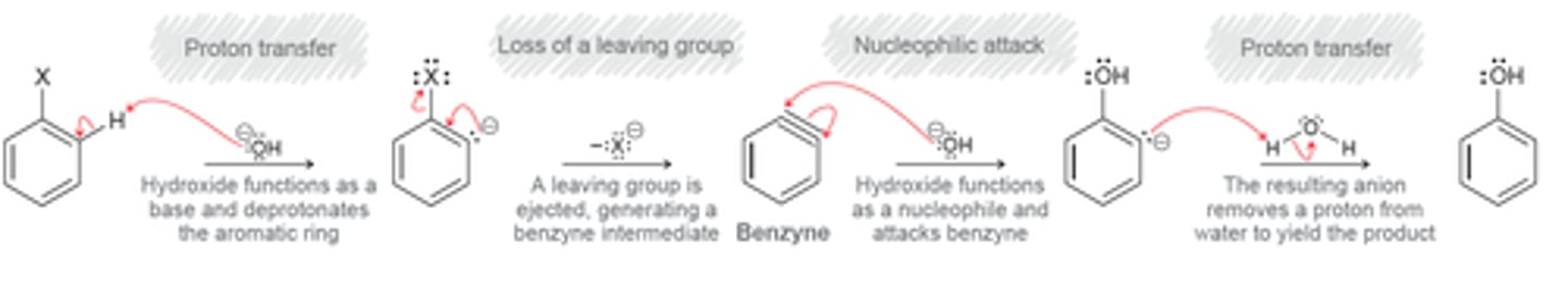 <p>proton transfer</p><p>loss of a leaving group</p><p>nucleophilic attack</p><p>proton transfer</p>