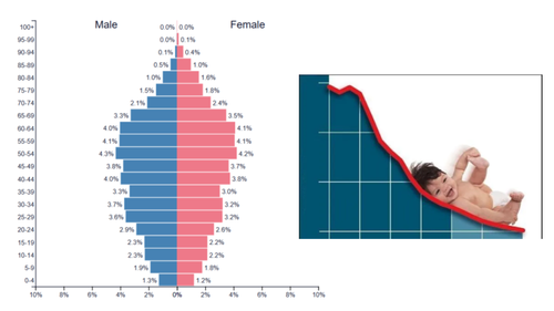 <p>very low birth rate</p>