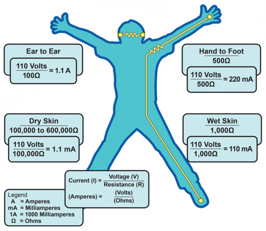 <p>What causes most electrical fatalities?</p>
