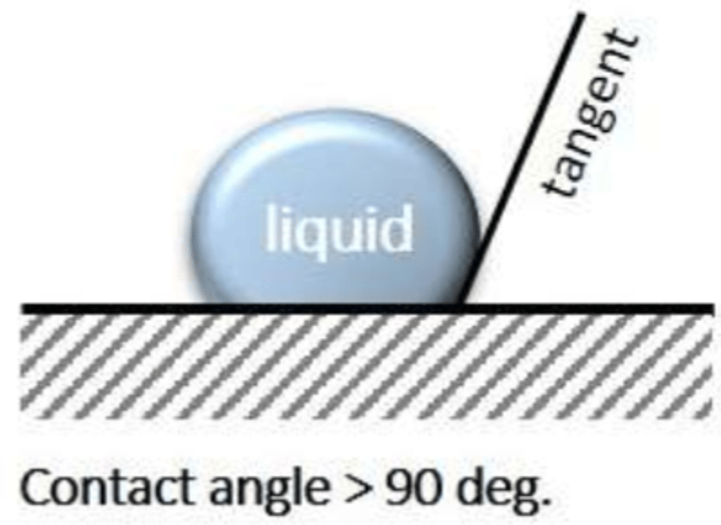 <p>hydrophobic or hydrophilic?</p>