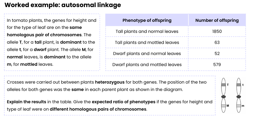 <p>Example - Explain these results</p>