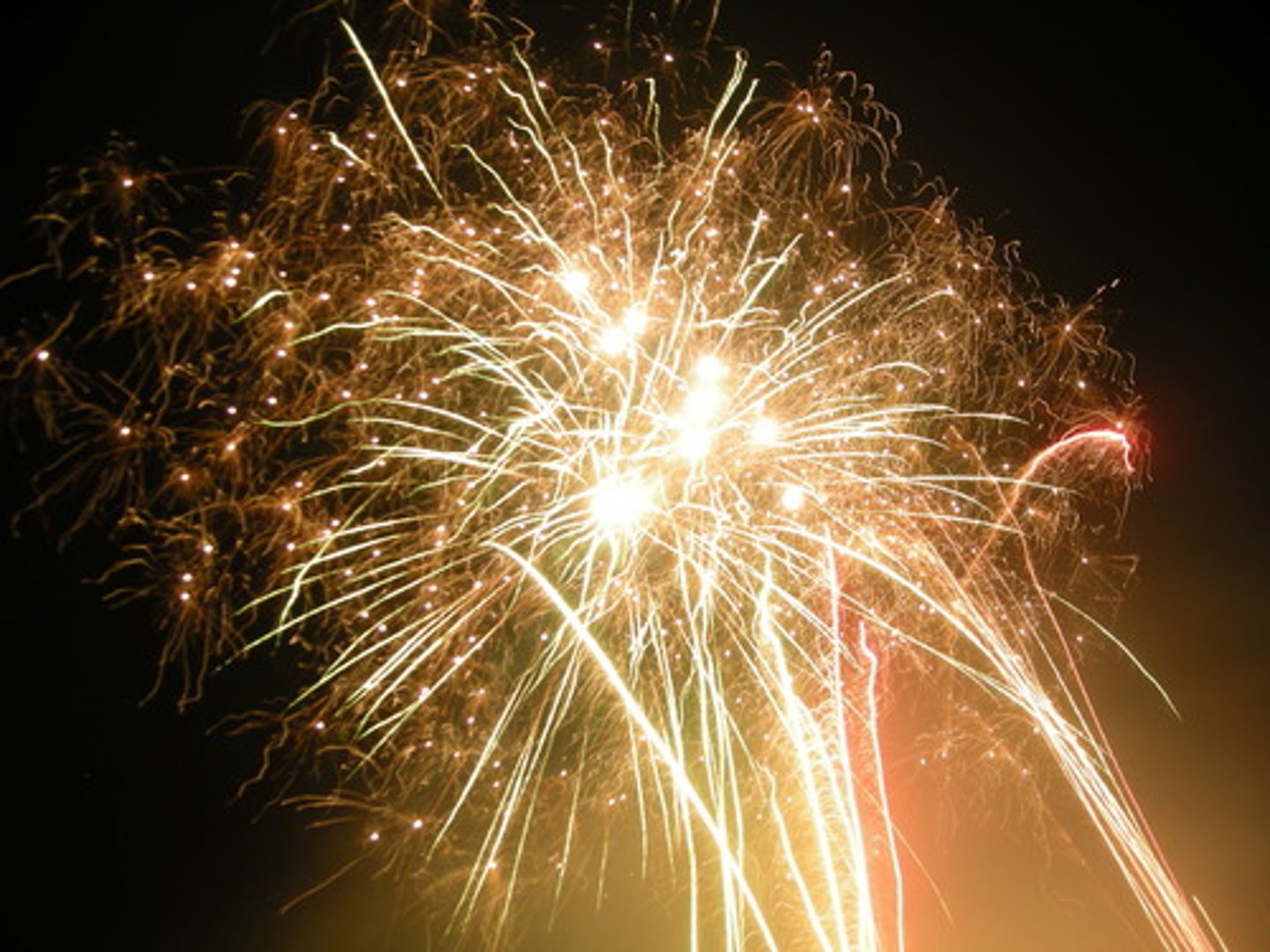 <p>gun powder</p>