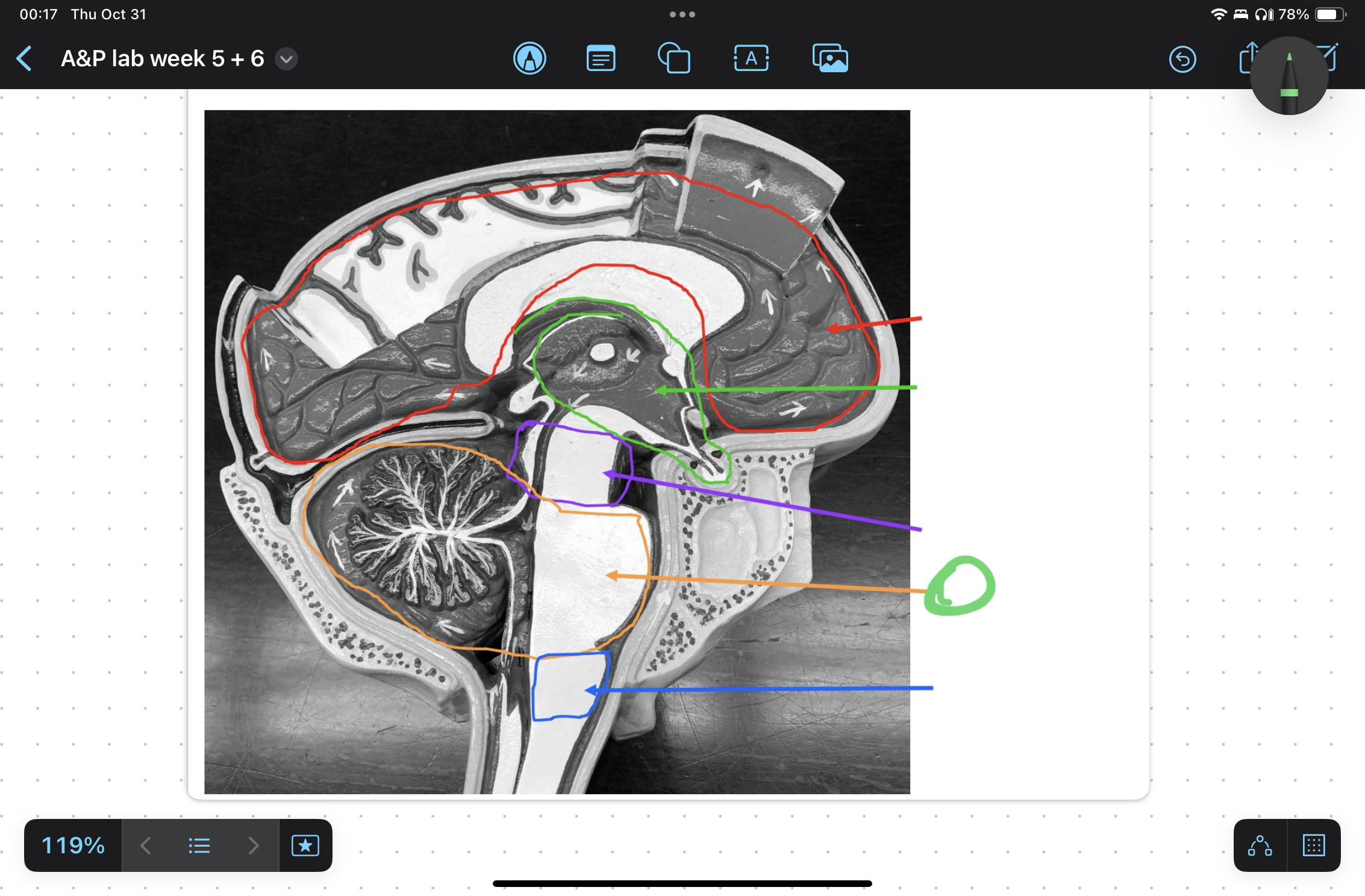 knowt flashcard image
