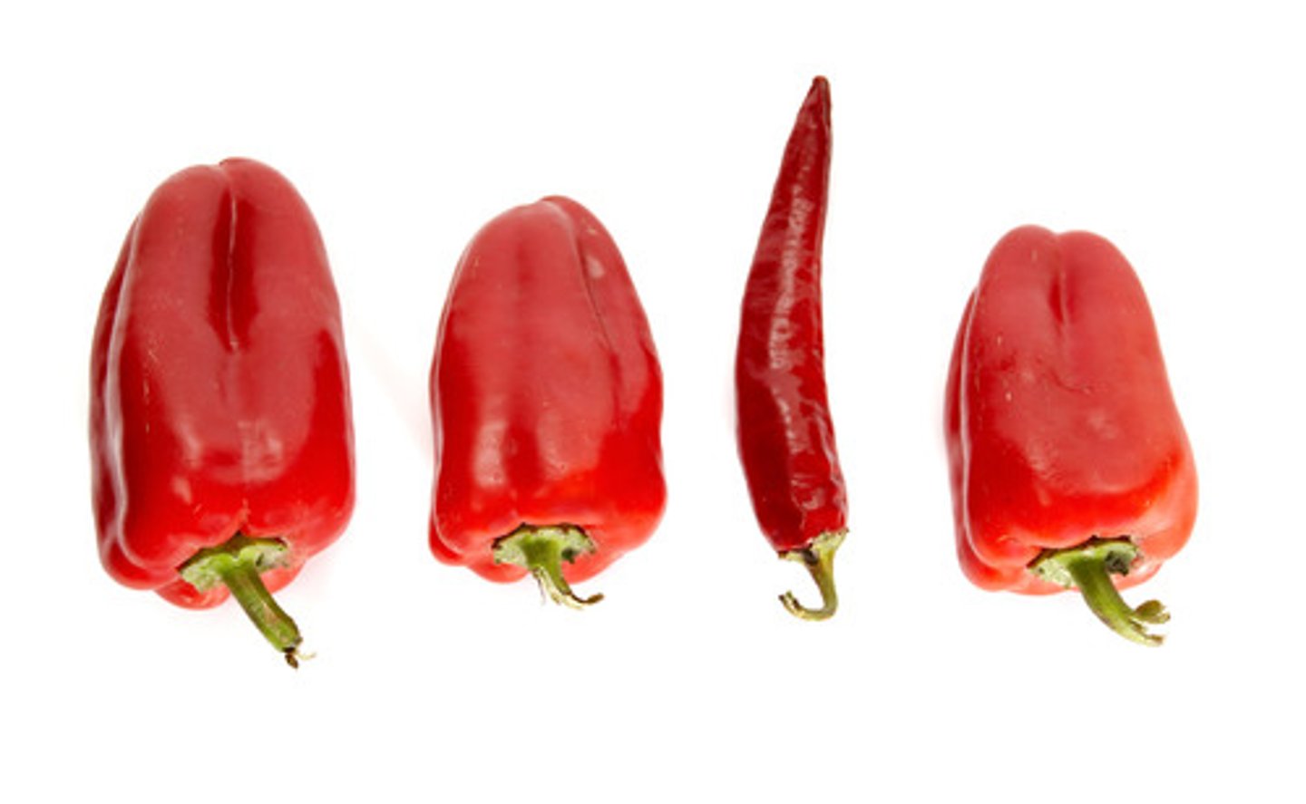 <p>2 items that share attributes will be visually grouped together</p>