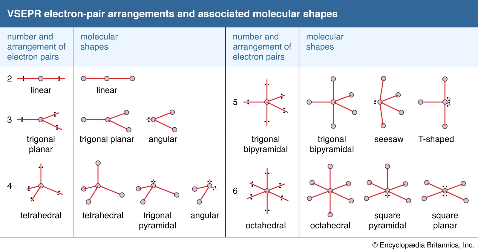 <p>linear, trigonal planar, bent, tetrahedral, trigonal pyramid, trigonal bipyramid, see saw, T shape, octahedral, square pyramid, square planar </p>