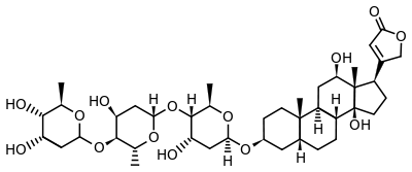 <p><strong>Brand: </strong>Digitek, Lanoxin</p><p><strong>Class: </strong>Cardiac Glycoside<strong> </strong></p><p><strong>MOA:</strong> Inhibits sodium potassium ATPase which leads to an increase in intracellular Ca. This increases contractility.</p>