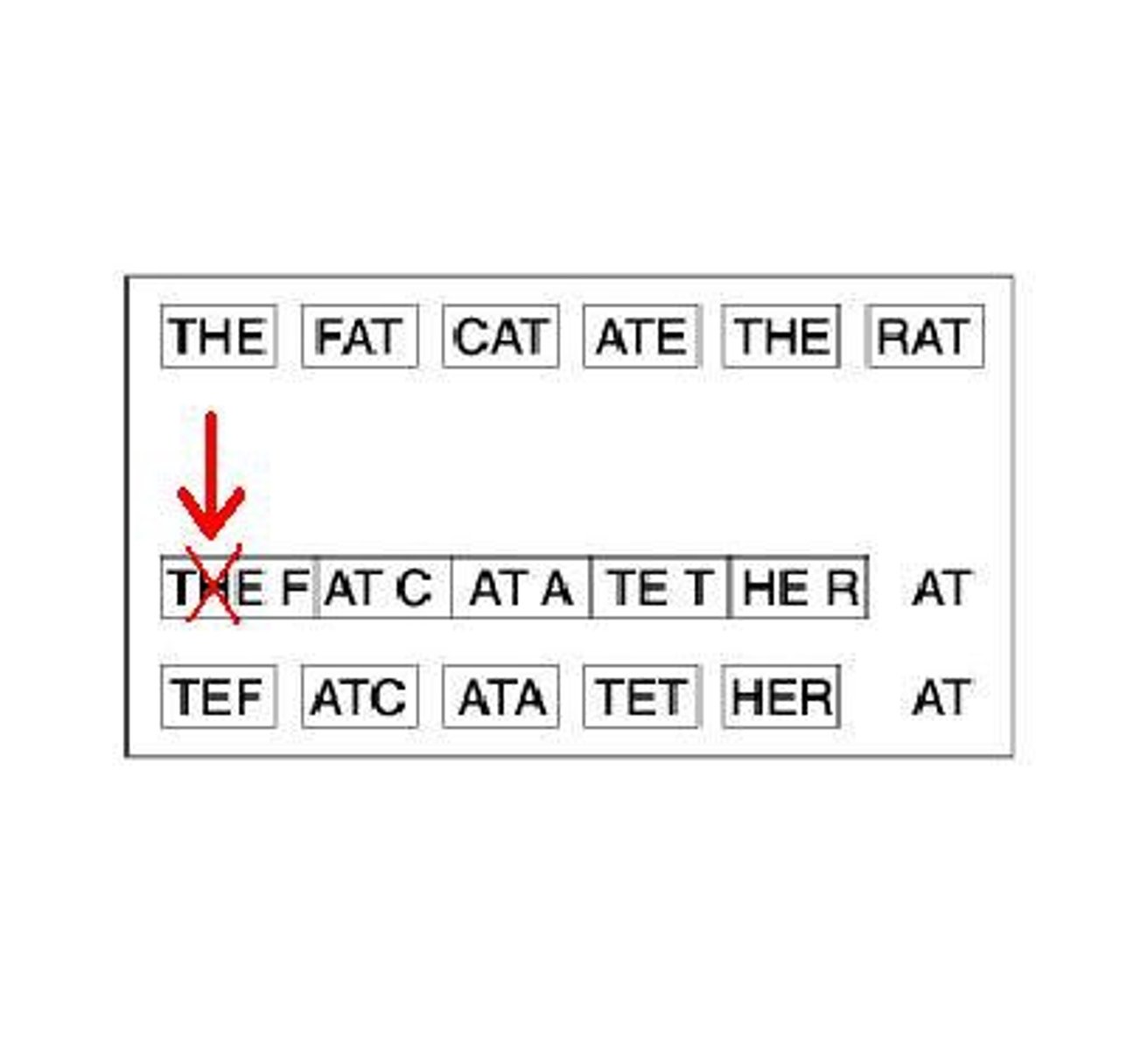 <p>-Mutation in which one or more nucleotides are inserted or deleted</p><p>-Results in a different sequence of RNA, which will code for the wrong amino acids</p>