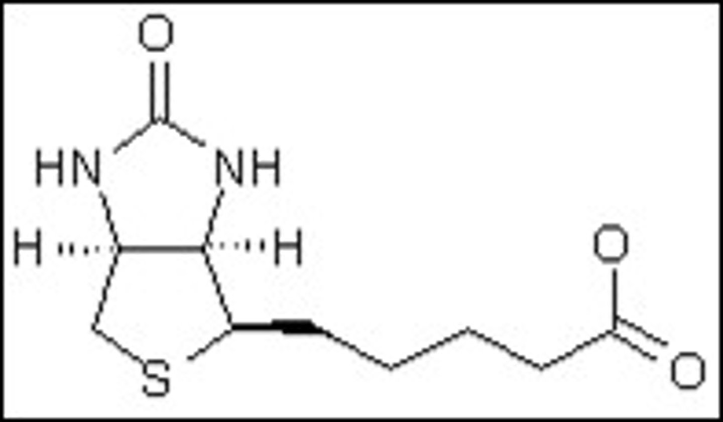 <p>Prosthetic Group</p><p>ATP-Dependent carboxylation of substrates or transfer of carboyl groups between substrates</p><p>Source: Vitamin B7 / Biotin</p>
