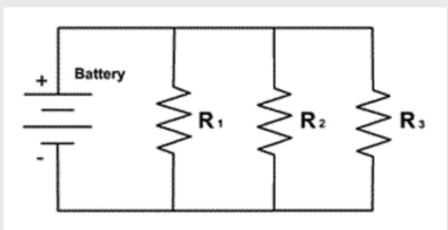<p>Parallel Circuit</p>