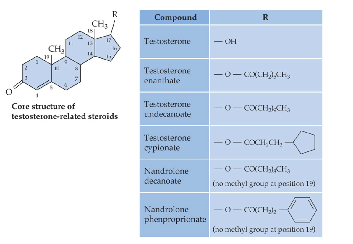 * Structures of commonly abused anabolic steroids, many based on testosterone