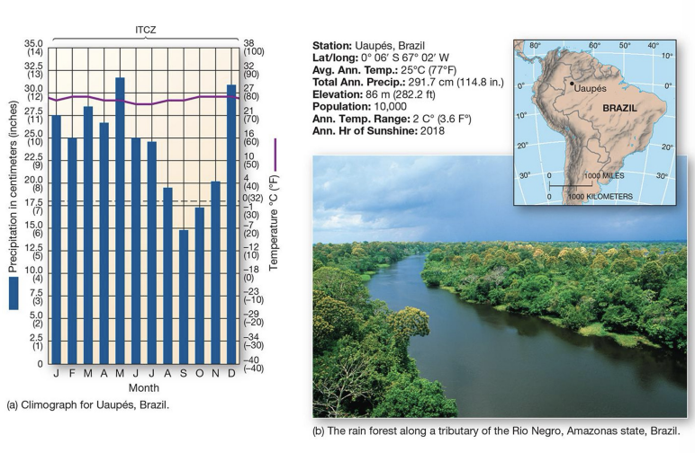 <p>what is an example of an <strong>Af</strong> climate?</p>