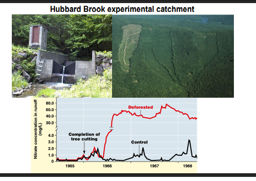 <ul><li><p>vegetation / biomass / detritus of nutrient rich plants will decompose faster (as they provide more nutrients to fuel decomposers, so they can more efficiently survive and continue decomposing)</p></li><li><p>therefore, systems differ in how nutrient rich their vegetation is, depending on abiotic conditions</p></li><li><p>(tropical systems) nutrients are stored in vegetation, held on to in the plant rather than readily stored and absorbed from the soil - as these are wet environments so soil is unable to hold onto nutrients (would disslve &amp; flow away)</p></li><li><p>(grassland systems) nutrients are stored in soil, where they can be readily absorbed by plants when needed (rather than hoarding in vegetation), as nutrients are in no danger of going away</p></li></ul><p>(consequences)</p><ul><li><p>therefore, nutrient storing greatly depends on the specific ecosystem and the environment conditions</p></li><li><p>so changing vegetation structure of an area, greatly impacts nutrient availablility (e.g. forest removal, harvesting, tilling)</p></li><li><p>therefore agriculture results in nutrient loss (biomass removed from&nbsp;soil in harvest, which in natural systems would instead remain in the ecosystem to enable chemical cycling)</p></li><li><p>therefore farming must involve adding these nutrients back somehow (e.g. fertiliser), but it may have additional effects on the microbial community (and the health of the rest of the ecosystem)</p></li><li><p>pesticides may also need to be used due to unwanted aspects of the natural environment, which can then impact soil biota again (microbes) to affect nutrient storage</p></li><li><p>also promotes soil erosion and nutrient loss (harvesting, tilling, activity, over-grazing), to further lose these removed nutrients - so this is another issue that must be addressed (land degradation)</p></li></ul><p>(consequence example)</p><ul><li><p>the Hubbard Brook experiment, sampled water in cachments that went past farmland (forestry) and joined together in a pinch point, as a means of seeing how quickly nutrients flowed out of the ecosystems when farmed on</p></li><li><p>as deforestation occurred, decomposition was promoted, which raised N levels in these waters - however this showed that all this N was released from the biomass in the local ecosystem, and flushed away</p></li></ul><p></p>