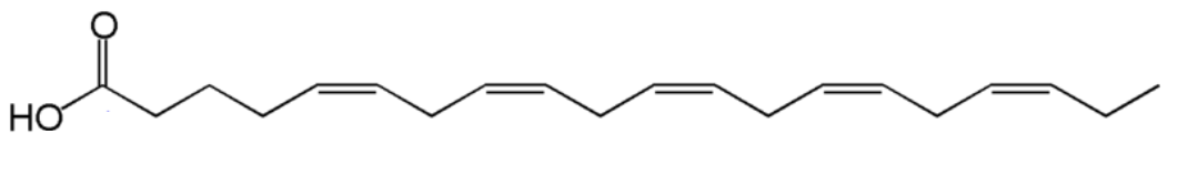 <p>Another way of classify fatty acid is counting from the methyl (tail, or omega) end. What type of fatty acid is EPA based on this?</p>