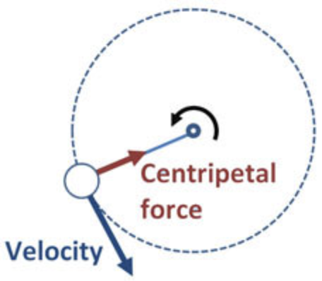 <p>a force that acts perpendicular to the direction of motion, toward the center of the curve</p>