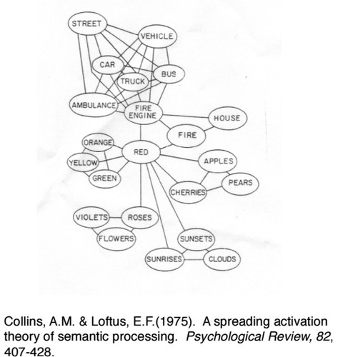 <p>represent concept, each circle</p>